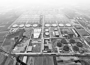 探訪鄭州新區污水處理廠 一天可以吃掉600噸污泥